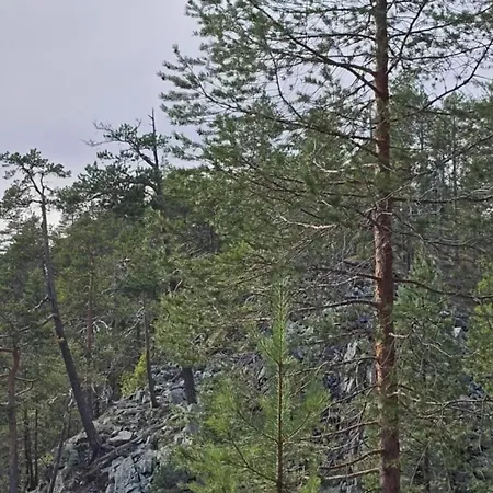 Orrenkolo, Lapland ヴィラ