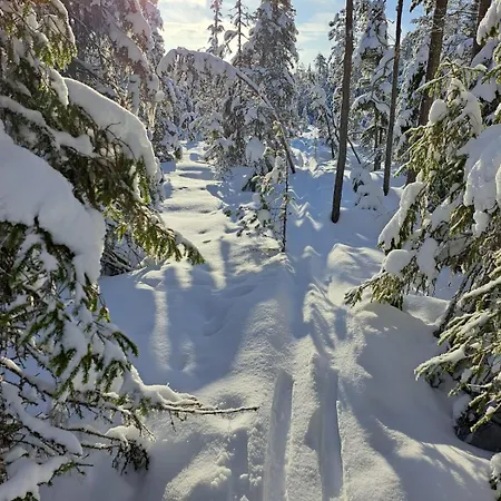 ヴィラ Orrenkolo, Lapland ルオスト